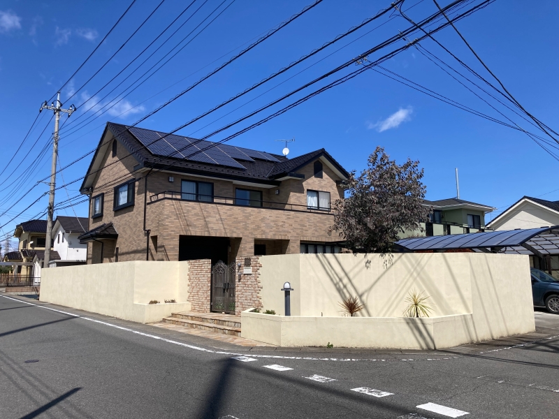 全体
