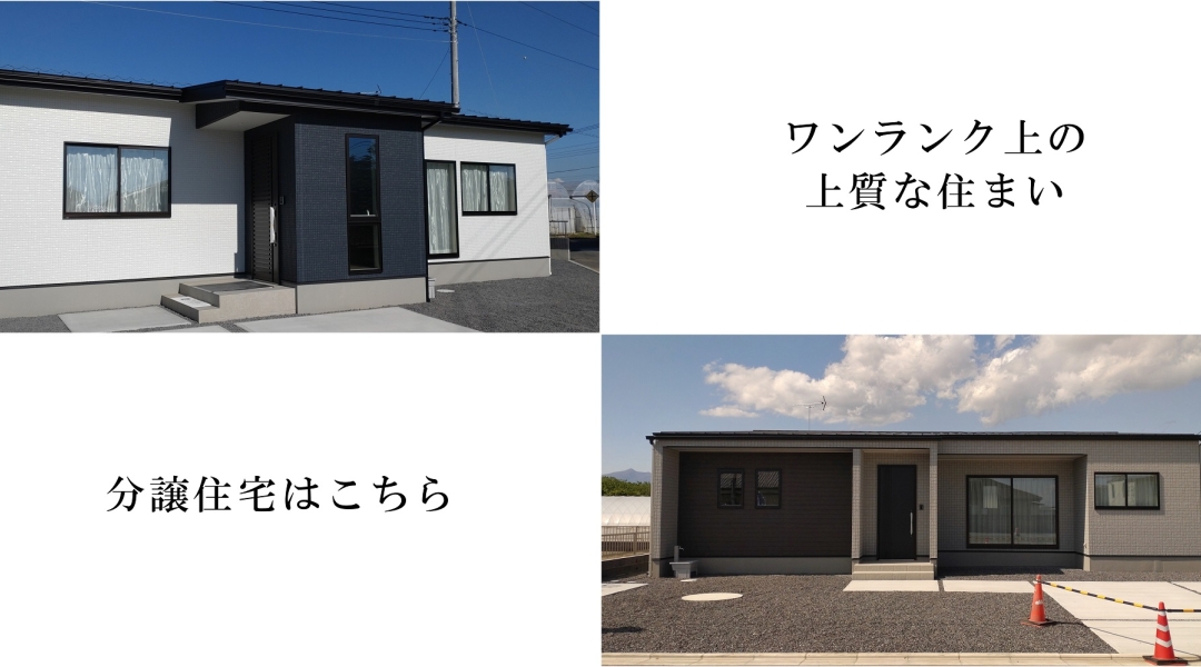 240226miyama